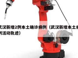 武汉新增2例本土确诊病例（武汉新增本土病例活动轨迹）