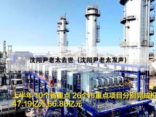 沈阳尹老太去世（沈阳尹老太发声）