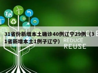 31省份新增本土确诊40例辽宁29例（31省新增本土1例子辽宁）