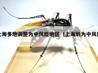 上海多地调整为中风险地区（上海划为中风险）