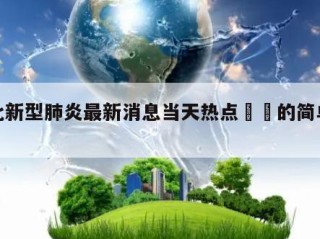 河北新型肺炎最新消息当天热点㊙️的简单介绍