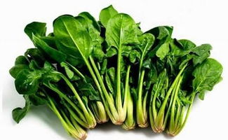 菲律宾菠菜网最新版本V19.13.228.278苹果版本-好用 菲律宾菠菜网最新版本V19.13.228.278苹果版本-好用